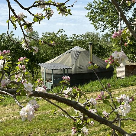 Villa Dragon Orchard Retreat Ledbury Exterior foto