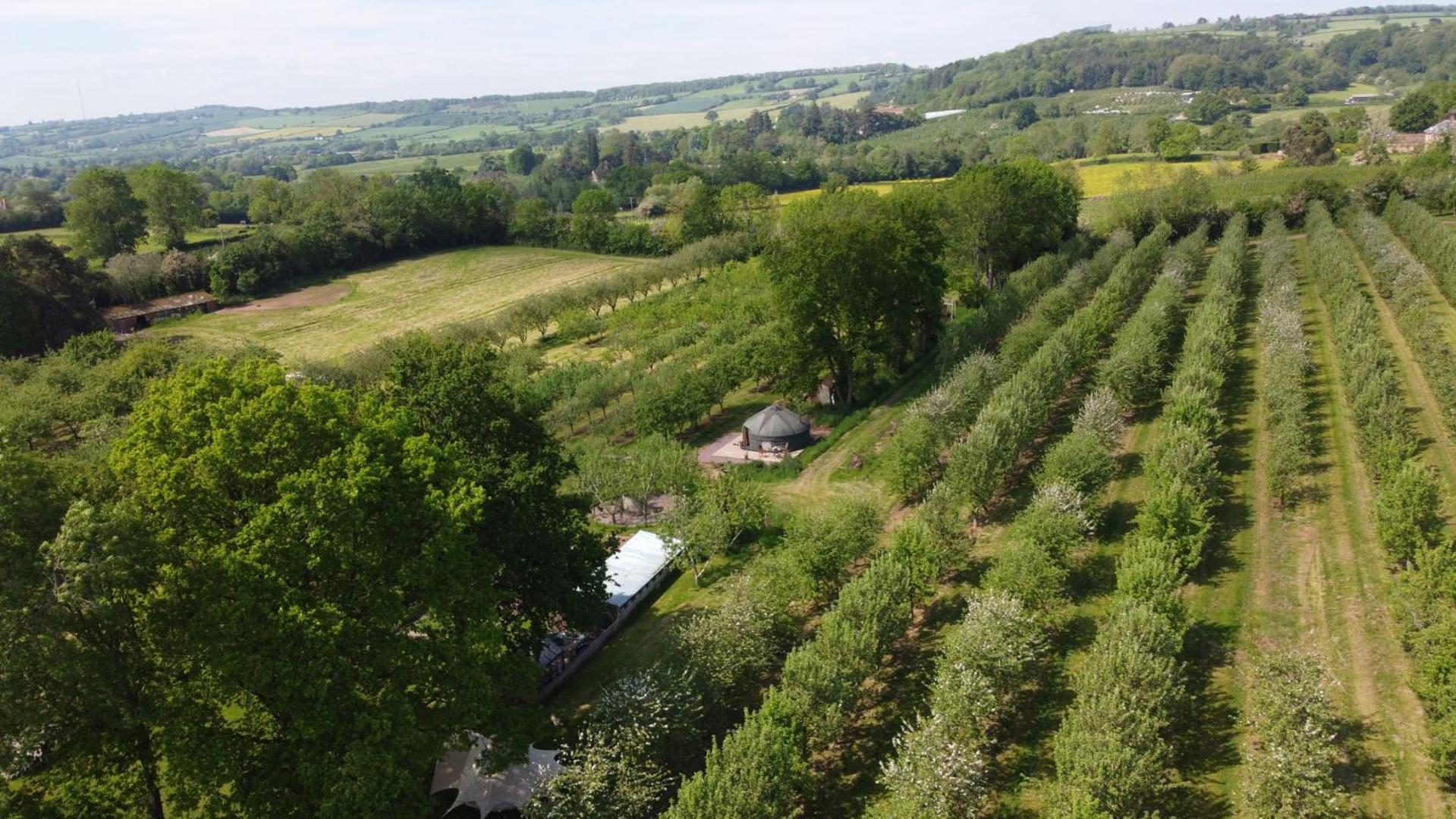 Villa Dragon Orchard Retreat Ledbury Exterior foto