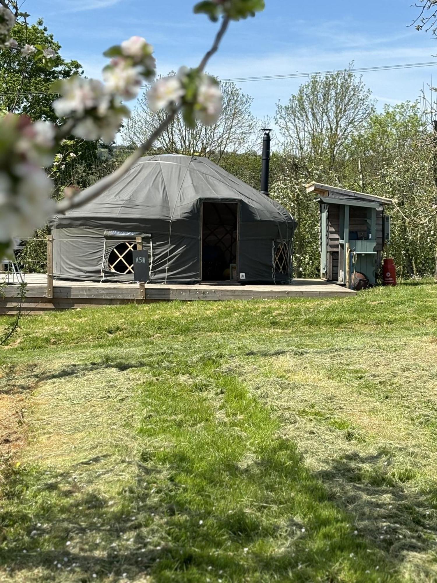 Villa Dragon Orchard Retreat Ledbury Exterior foto